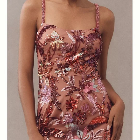 Bronx and Banco Dahlia Leona Embroidered Gown